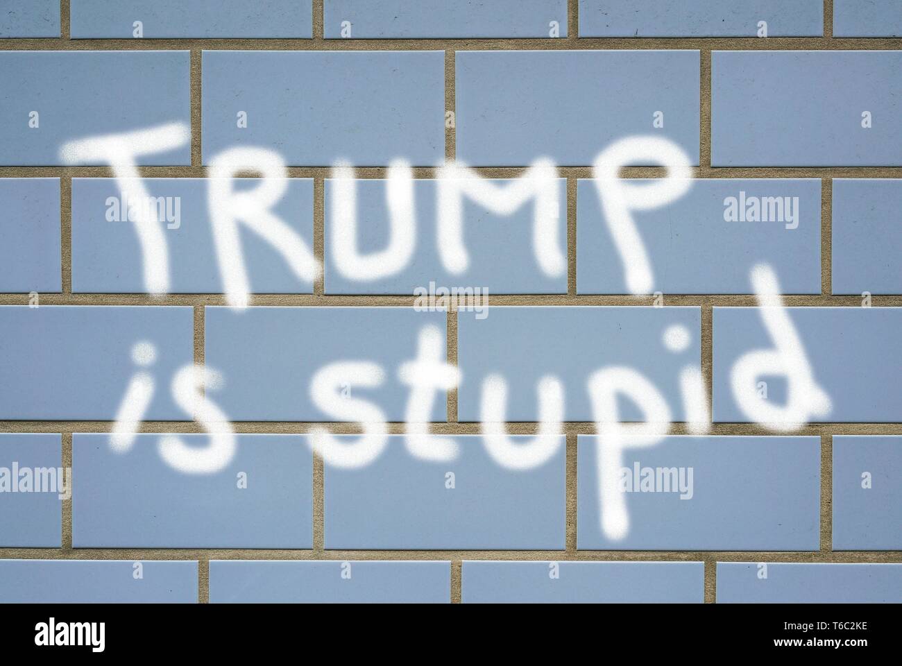 Muro di casa con le parole Trump è stupido Foto Stock