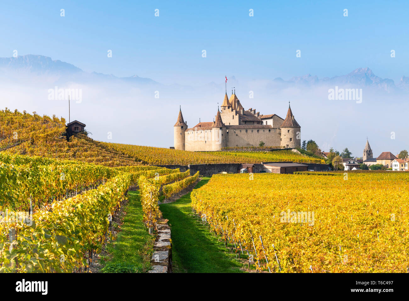 Il castello di Aigle, Aigle, Canton Vaud, Svizzera, Europa Foto Stock