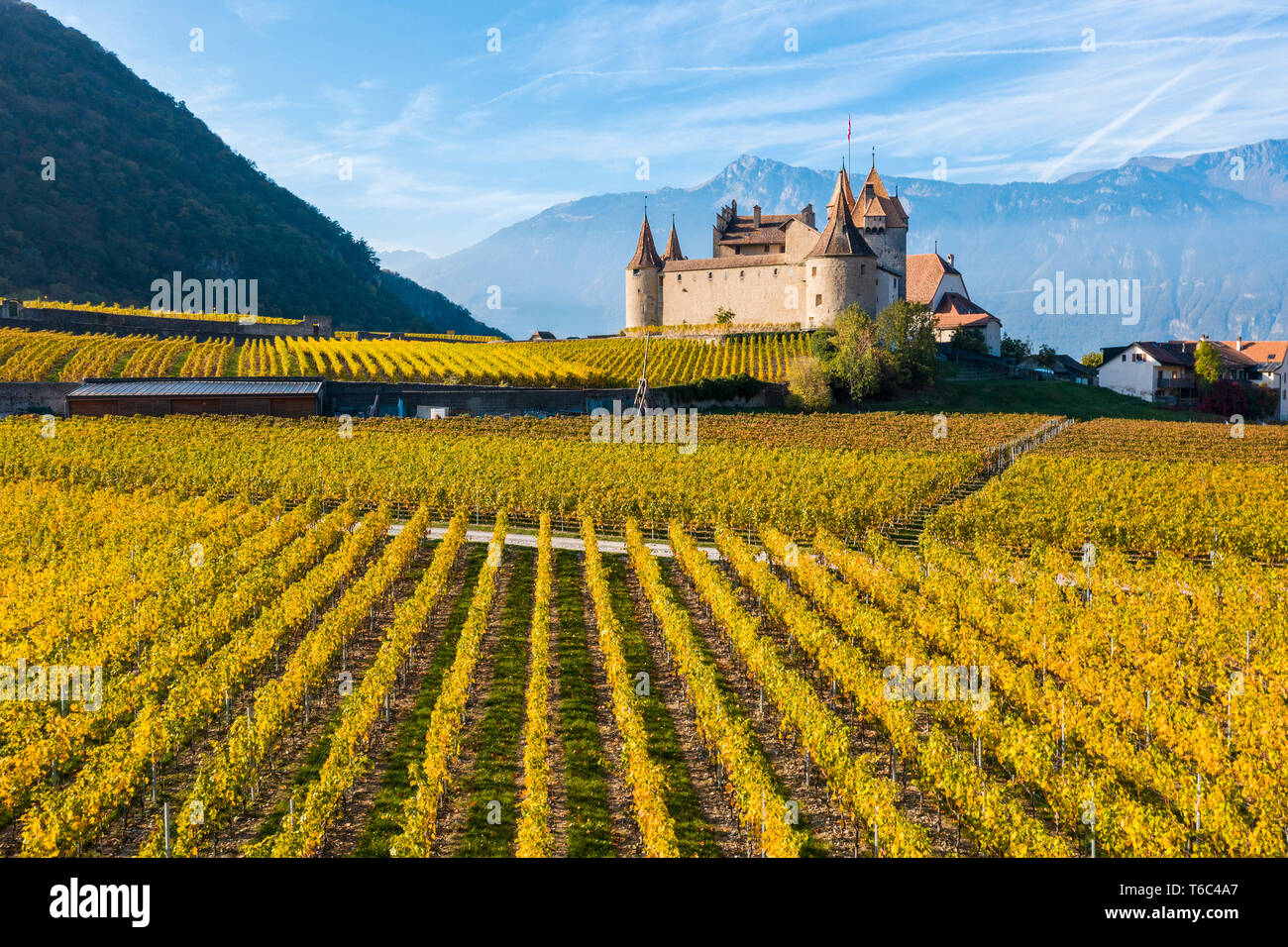 Il castello di Aigle, Aigle, Canton Vaud, Svizzera, Europa Foto Stock