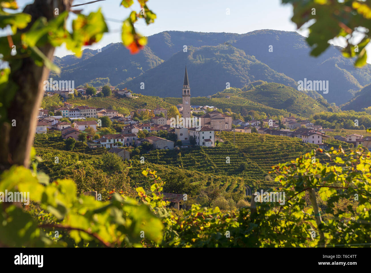 L'Italia, Veneto. Strada del Prosecco. Distretto di Treviso. Valdobbiadene. vigneti di Prosecco. Santo Guia Village. Foto Stock