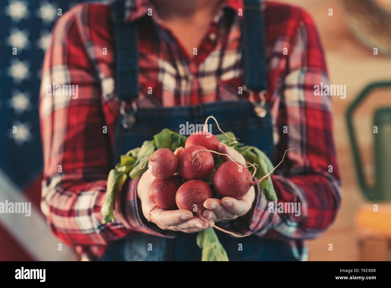 Donna americana l'agricoltore che detiene mazzetto di raccolte di ravanelli, close up delle mani Foto Stock