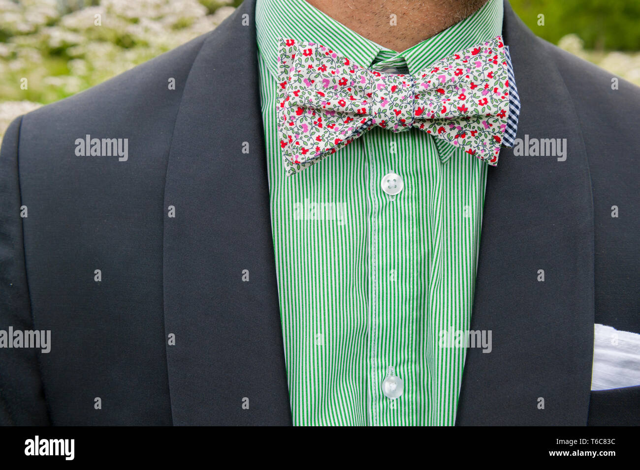 Casual bow tie closeup. Casual bow tie closeup. Foto Stock