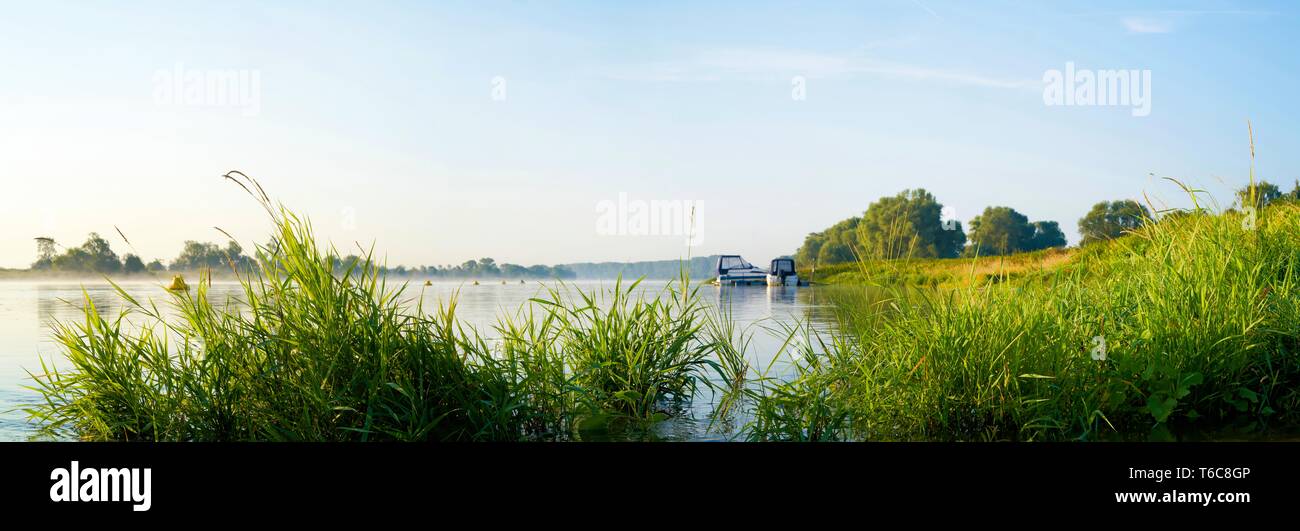 Fiume Elba vicino a Magdeburgo, nel quartiere Westerhuesen Foto Stock
