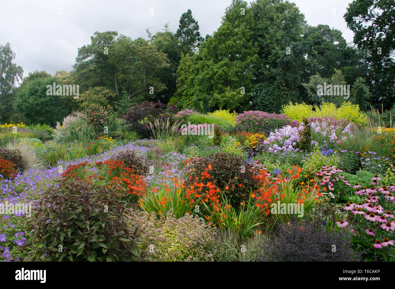 Hardy piante perenni in grande frontiera inglese Foto Stock