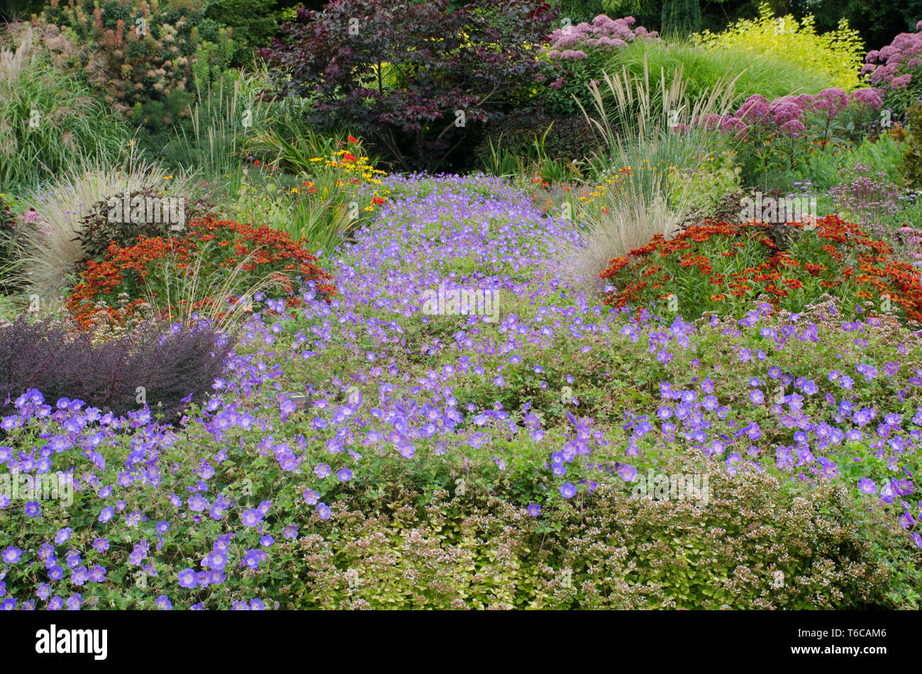 Inglese tradizionale con giardino con piante perenni Foto Stock