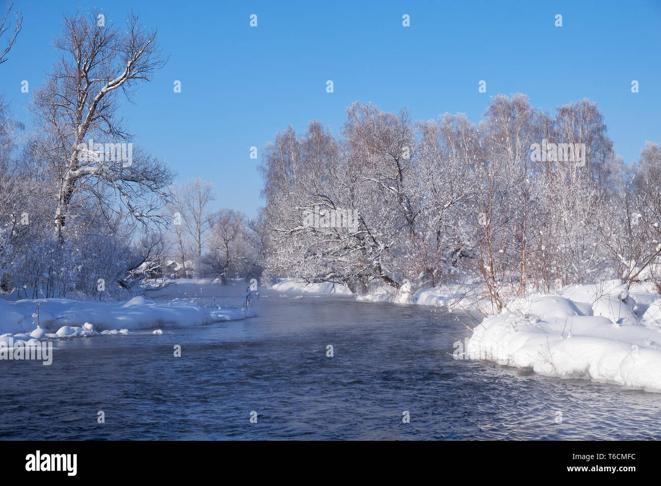 Fiume Koksha circondato da alberi sotto la brina e neve in Altai regione nella stagione invernale Foto Stock