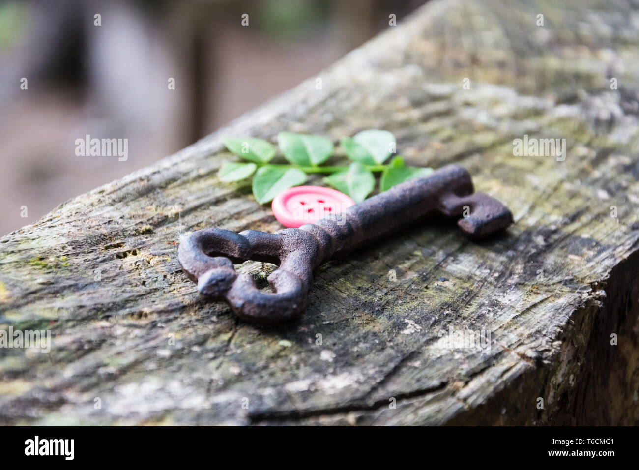 Chiave su una tavola di legno Foto Stock