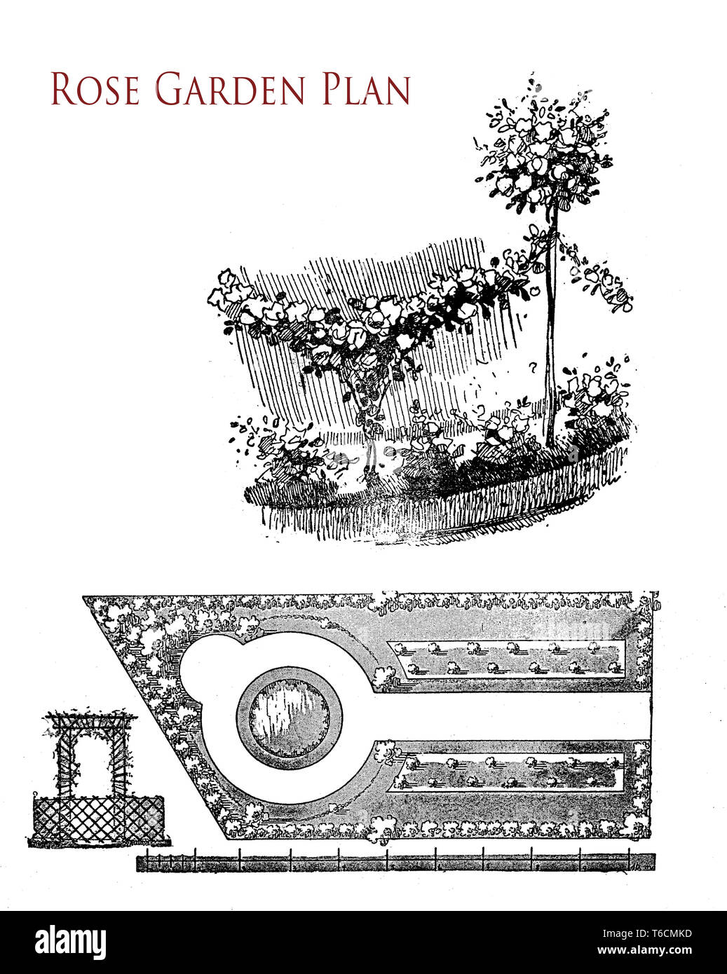 Giardino delle Rose illustrazione vintage. Giardini ornamentali utilizzare impianti progettati più per il loro piacere estetico e aspetto: piante fiorite e lampadine in aggiunta al fogliame piante ornamentali, erbe, arbusti e alberi. Foto Stock