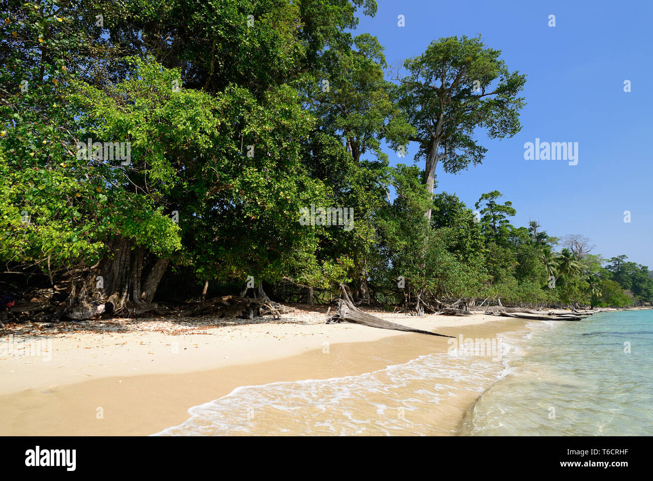 Vergine Lalaji spiaggia di Long Island, Andaman e Nicobar, India Foto Stock
