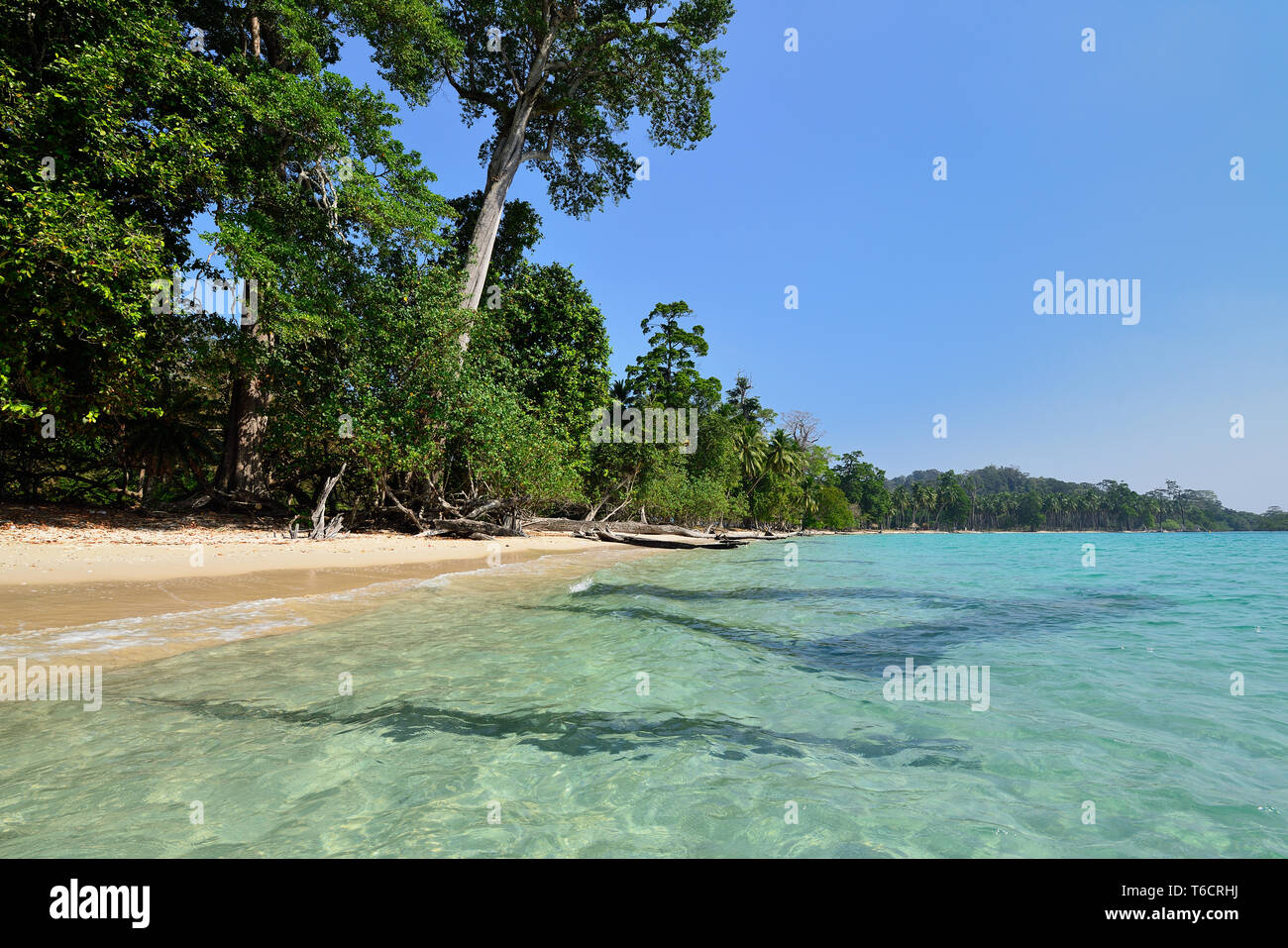 Vergine Lalaji spiaggia di Long Island, Andaman e Nicobar, India Foto Stock