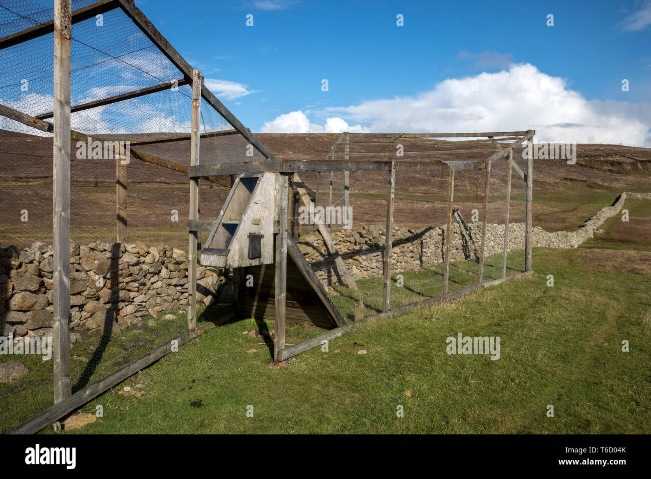 Fair Isle; Helgoland trappole; Shetland; Regno Unito Foto Stock