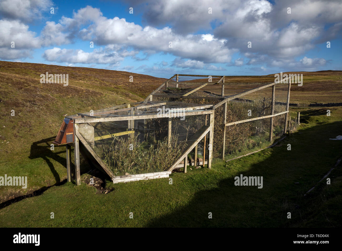Fair Isle; Helgoland trappole; Shetland; Regno Unito Foto Stock
