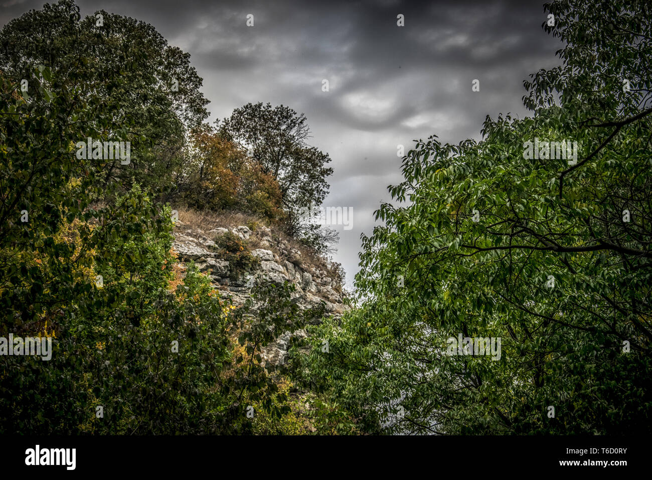 Gli alberi e le cime degli alberi in autunno in orientale campagna serba Foto Stock