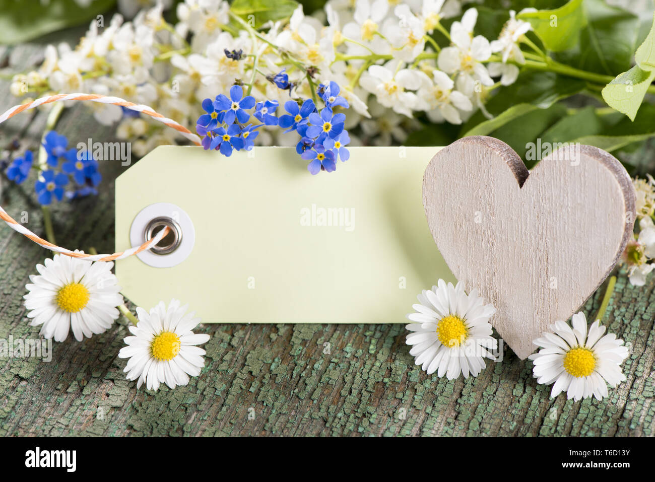 Scheda vuota per la presente con fiori Foto Stock