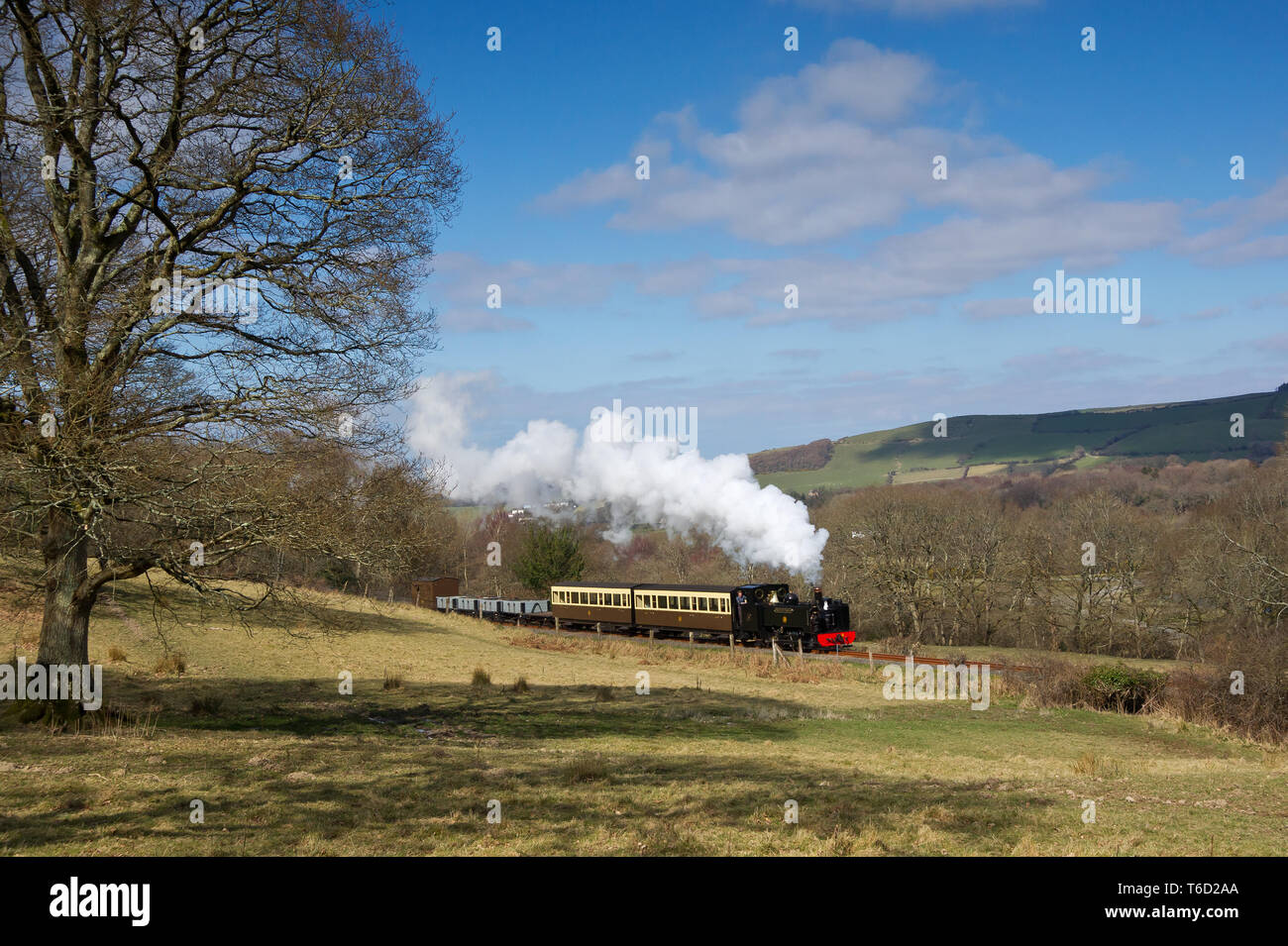 GWR 2-6-2T No.9 Principe di Galles su un breve treno misto capi fino alla valvola di Rheidol al ponte di diavoli Galles Marzo 2016 Foto Stock