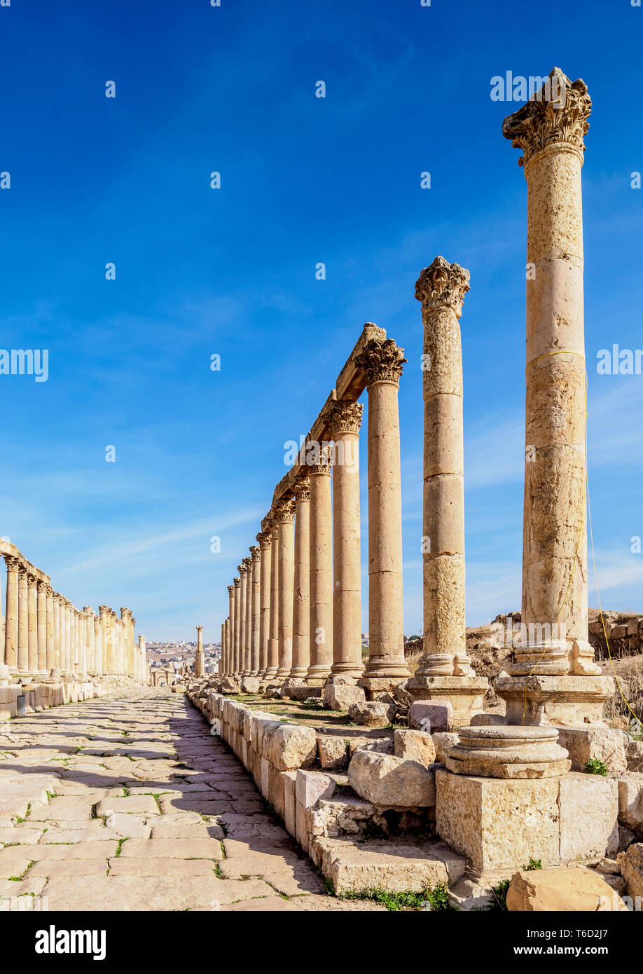 Colonnato Street o Cardo, Jerash Jerash, Governatorato, Giordania Foto Stock