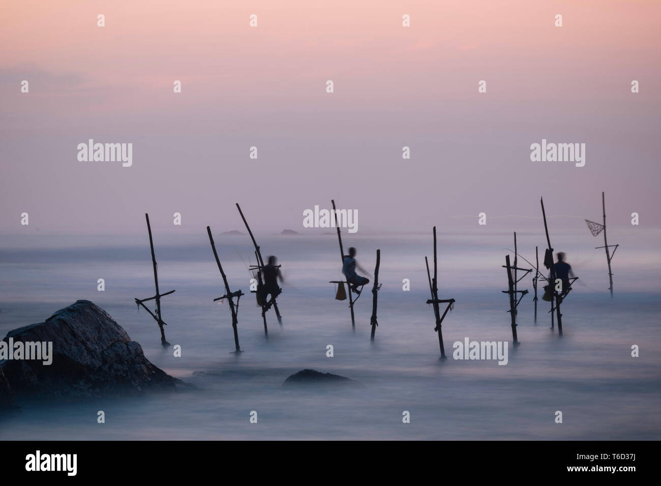 Stilt pescatori al tramonto, Weligama, South Coast, Sri Lanka, Asia Foto Stock