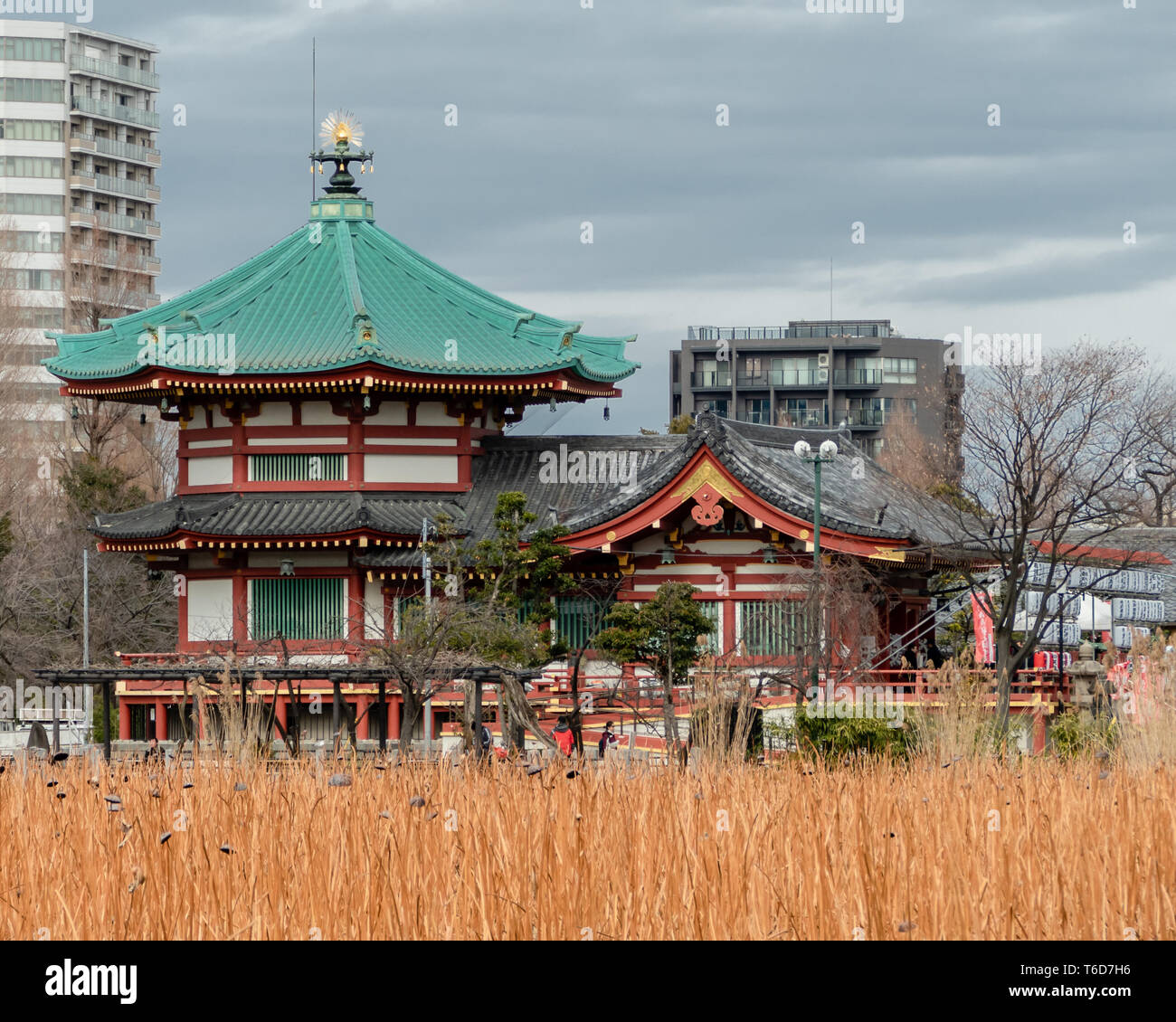 TOKYO, Giappone - 8 febbraio 2019: Bentendo tempio presso il Parco Ueno. Un tempio Buddista dedicato a Benten o Benzaiten, dea della ricchezza, felicità, wisdo Foto Stock