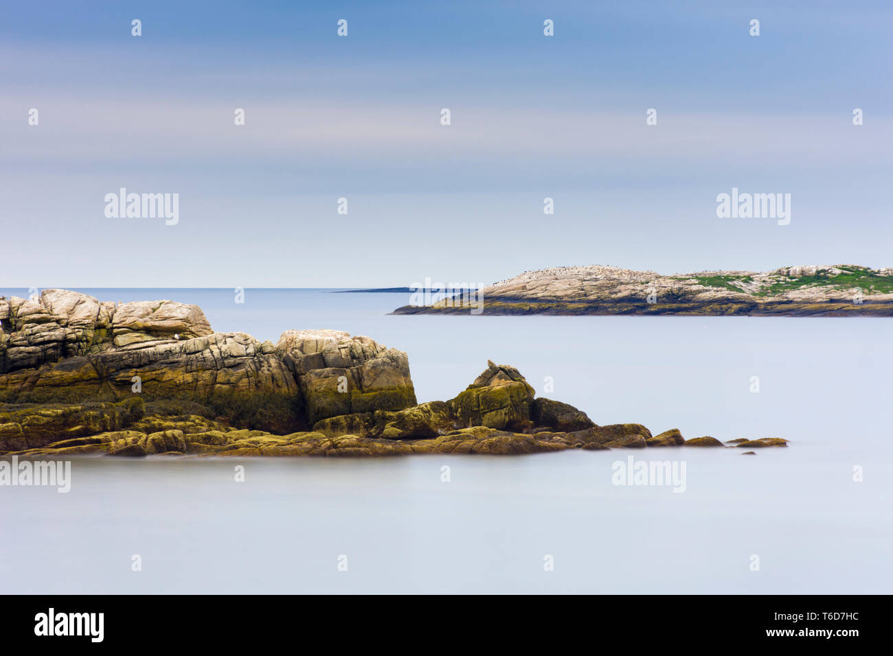 Costa rocciosa del Maine coast liscio con acqua blu Foto Stock