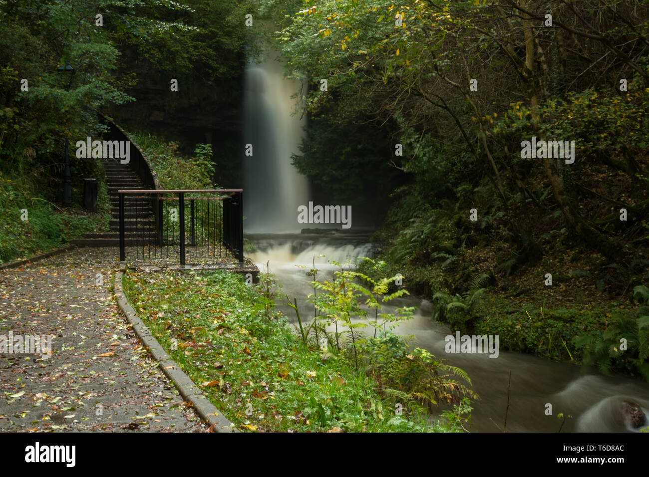 Cascata di Glencar, nella Contea di Leitrim, Irlanda Foto Stock