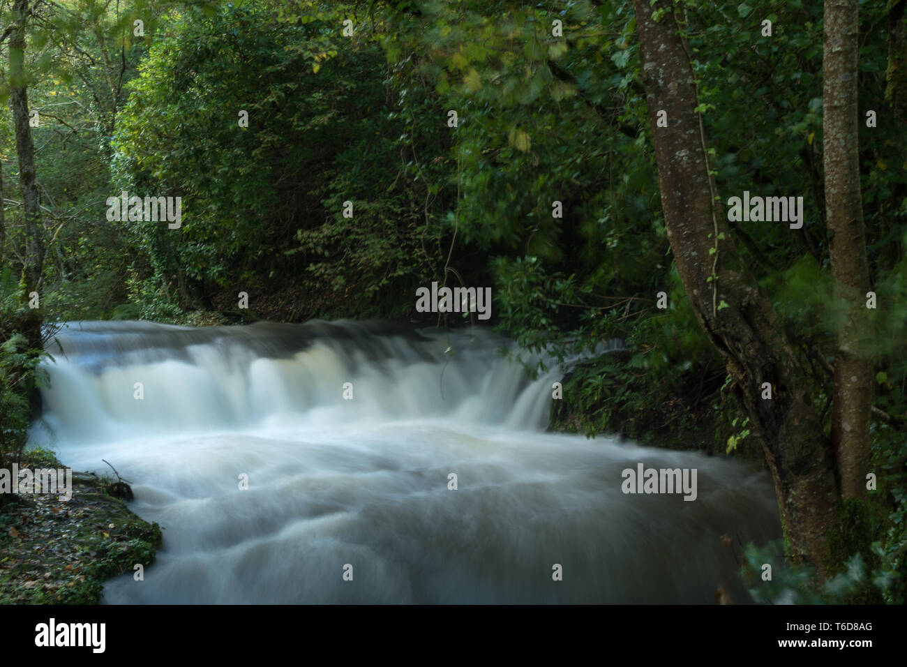 Cascata di Glencar, nella Contea di Leitrim, Irlanda Foto Stock