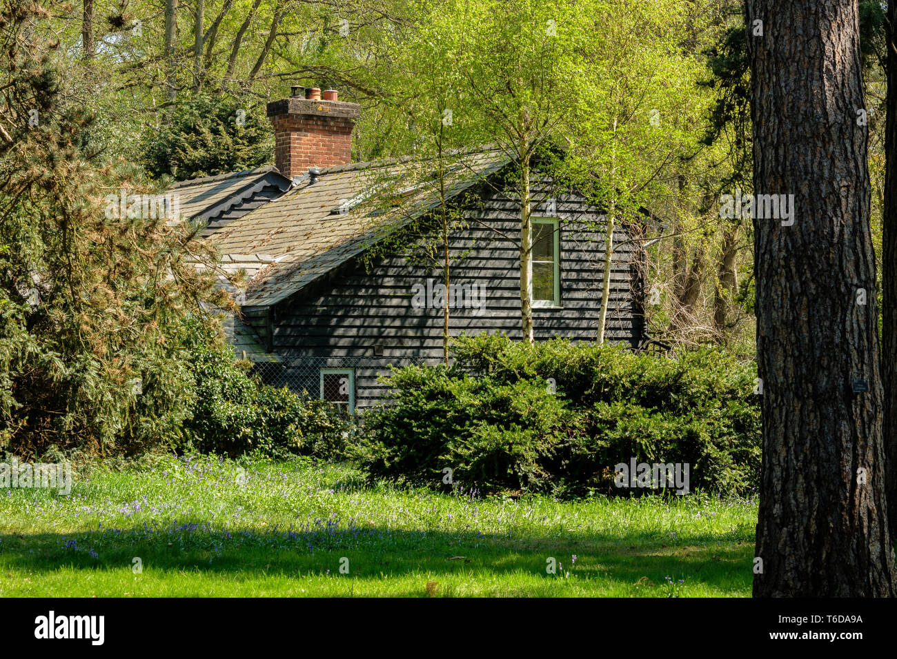 La Casa nel Bosco Wisley Gardens Wisley Surrey in Inghilterra REGNO UNITO Foto Stock