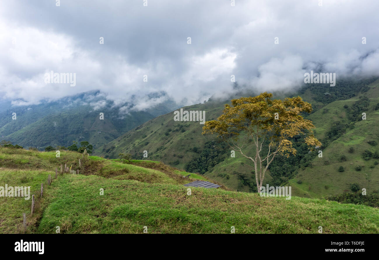 Splendidi paesaggi del dipartimento di Quindio in Colombia, con abbondanza di colori naturali e molte piante di caffè. Foto Stock