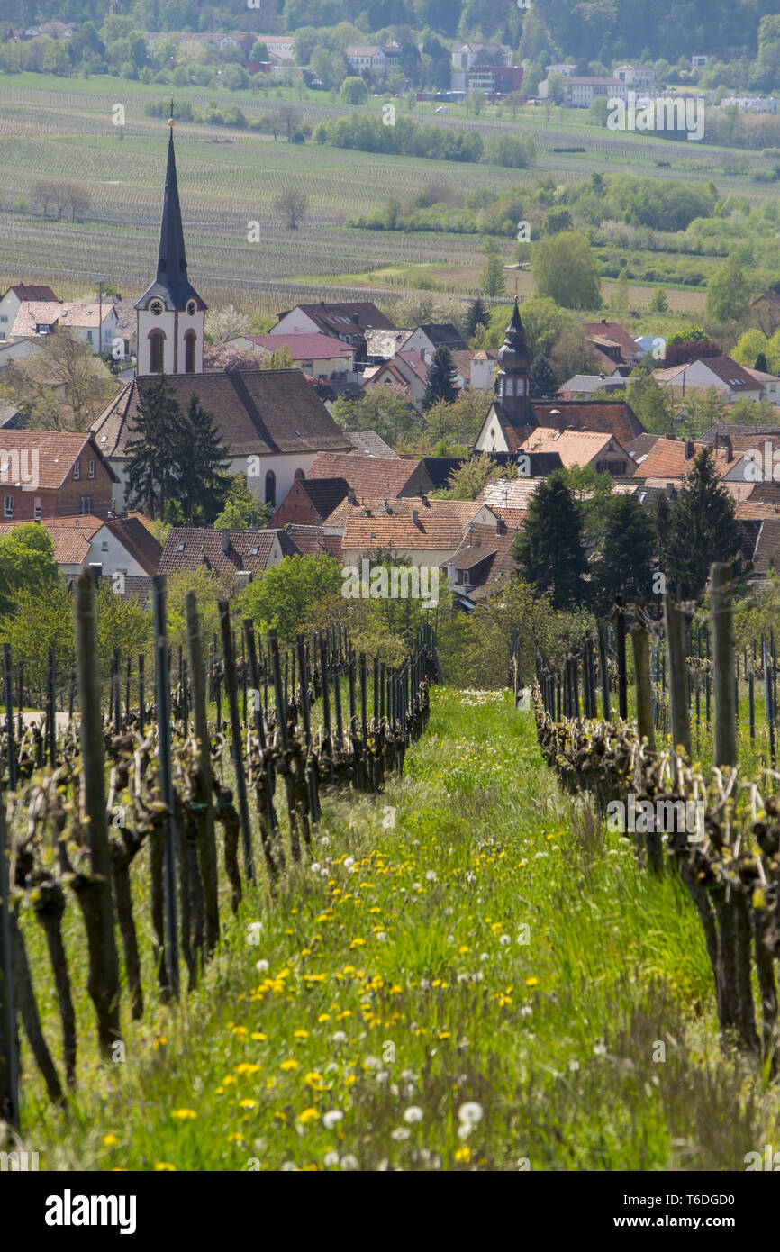 Vista del villaggio del vino Göcklingen Foto Stock