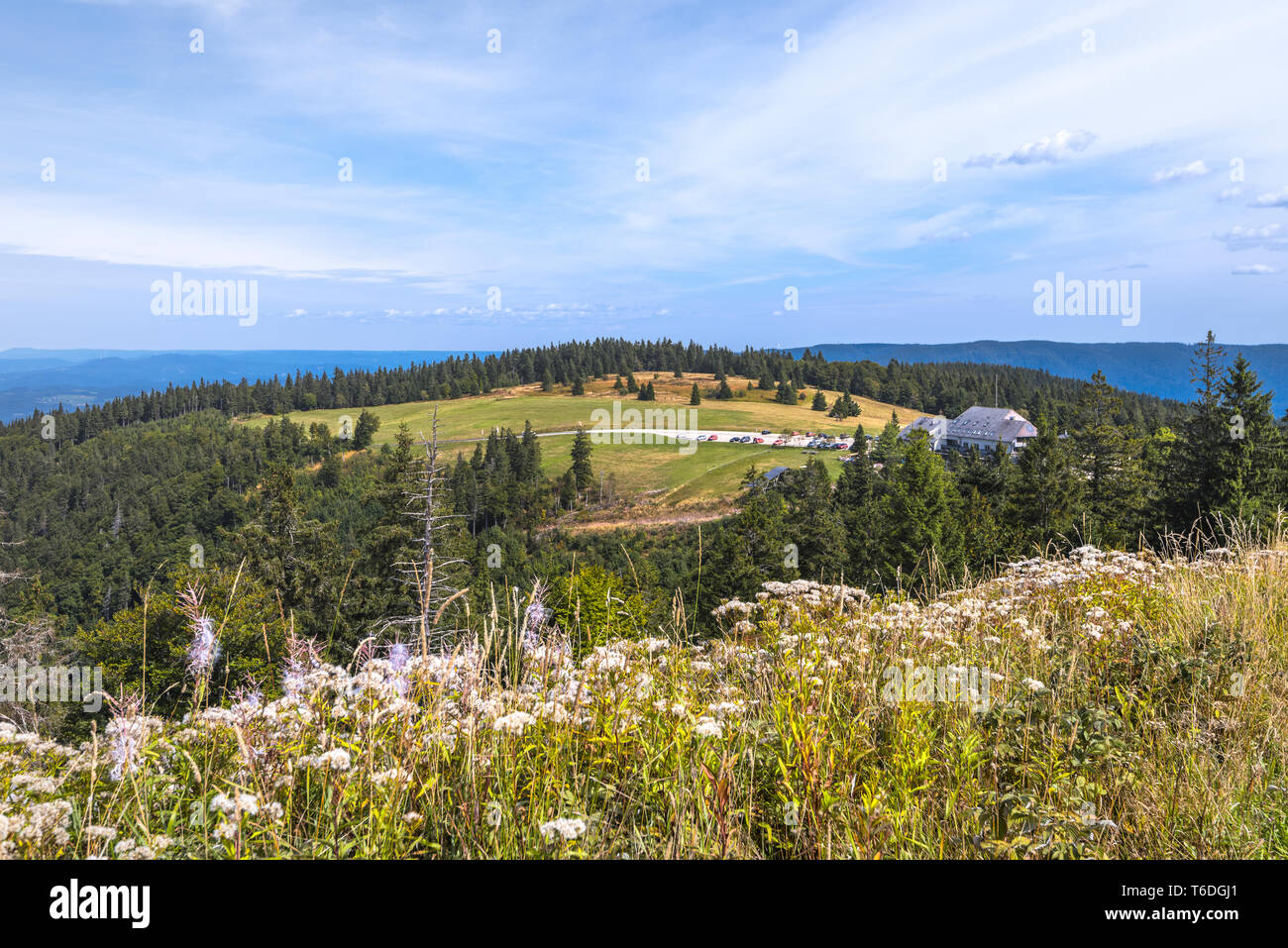 Pass montagna di Kandel visto dalla vetta, Central Foresta Nera, la Germania, la montagna della città Waldkirch, al nord-est di Friburgo Foto Stock