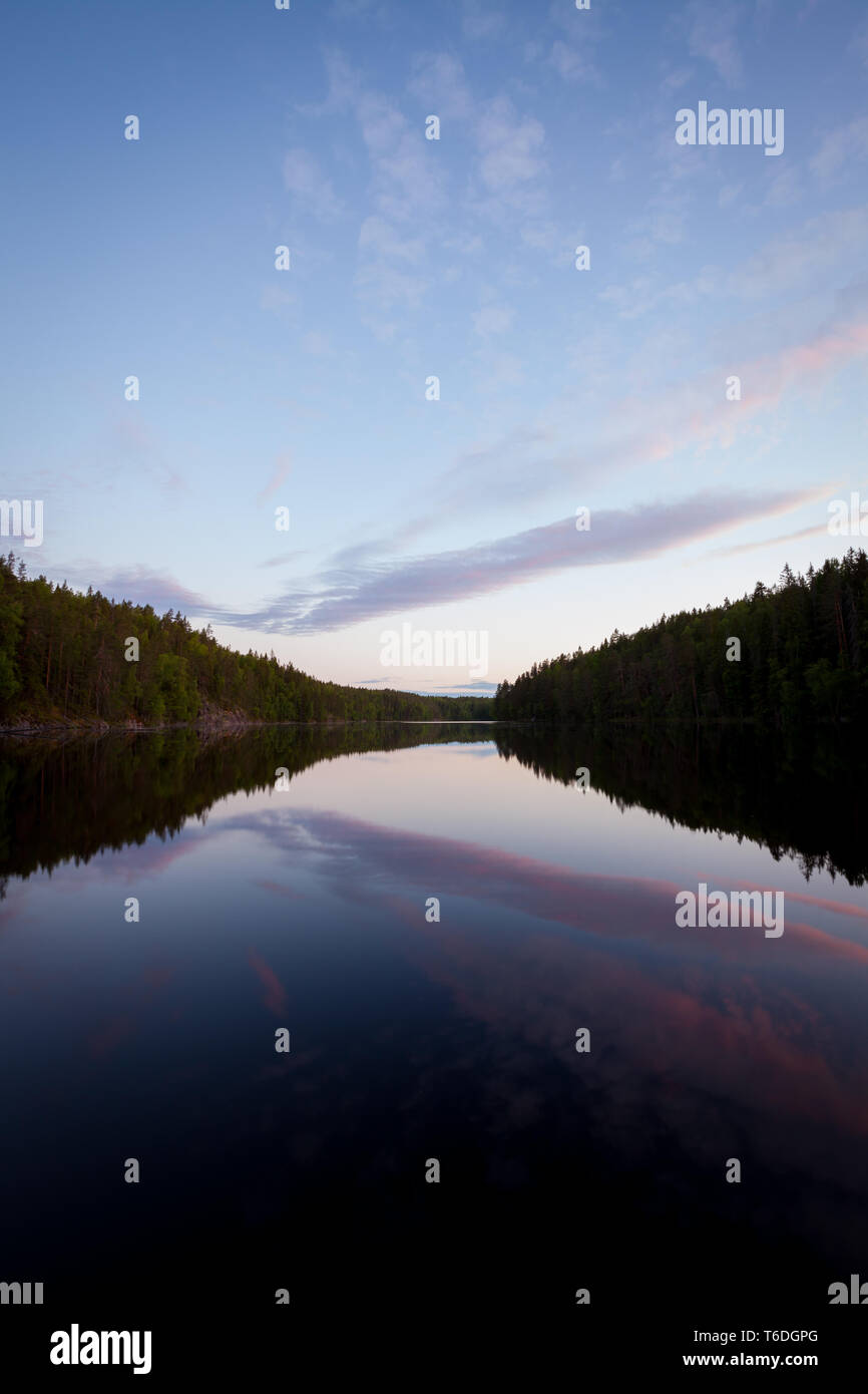 Foresta calmo lago A Midsummer Night sky riflessione Foto Stock