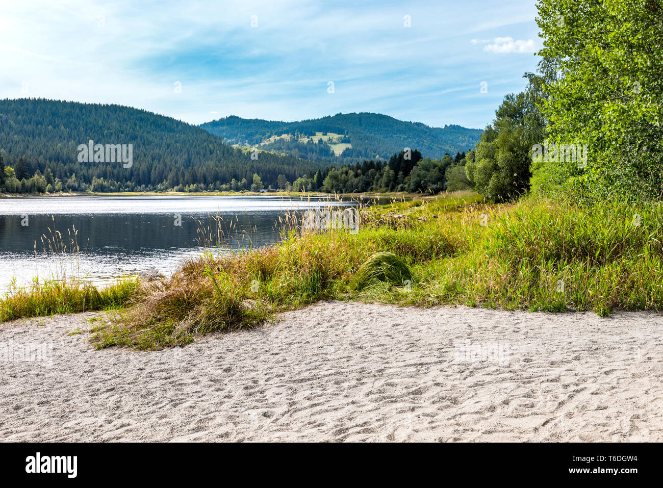 La riva del lago Schluchsee vicino le frazioni di AHA e Äule con spiaggia sabbiosa, Alta Foresta Nera, Germania, regione Breisgau-Hochschwarzwald Foto Stock