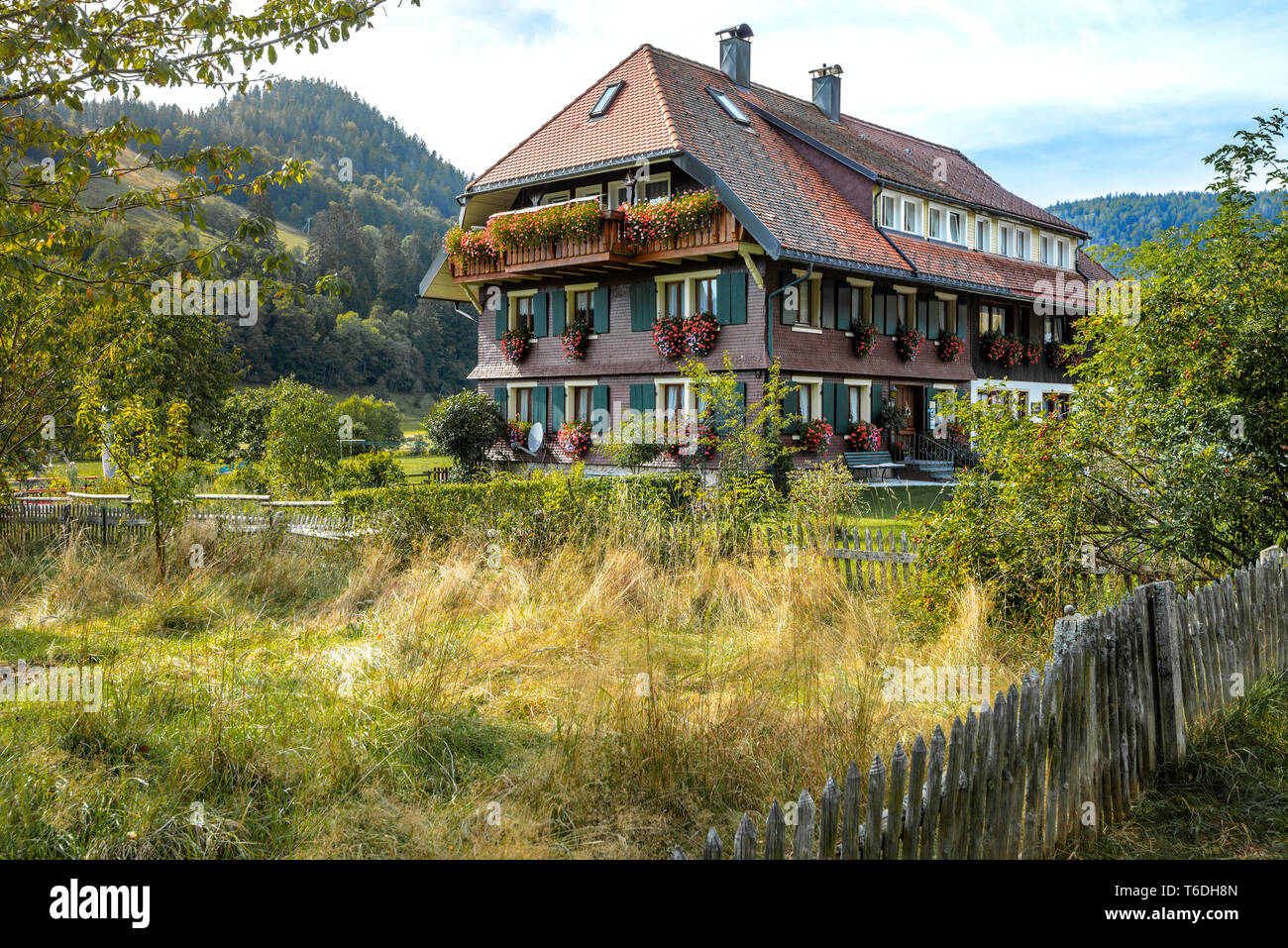 Casa tipica della Foresta Nera nel paesaggio naturale, Menzenschwand, Germania, Alta Foresta Nera vicino a St. Blasien Foto Stock