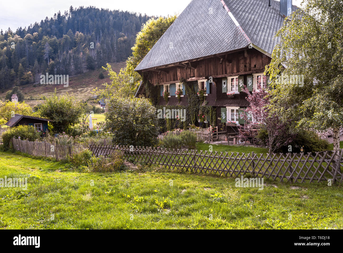 Tipica casa nella Foresta Nera con tetto hipped e colline boscose, villaggio Menzenschwand, Germania, architettura originale dell'Alta Foresta Nera Foto Stock
