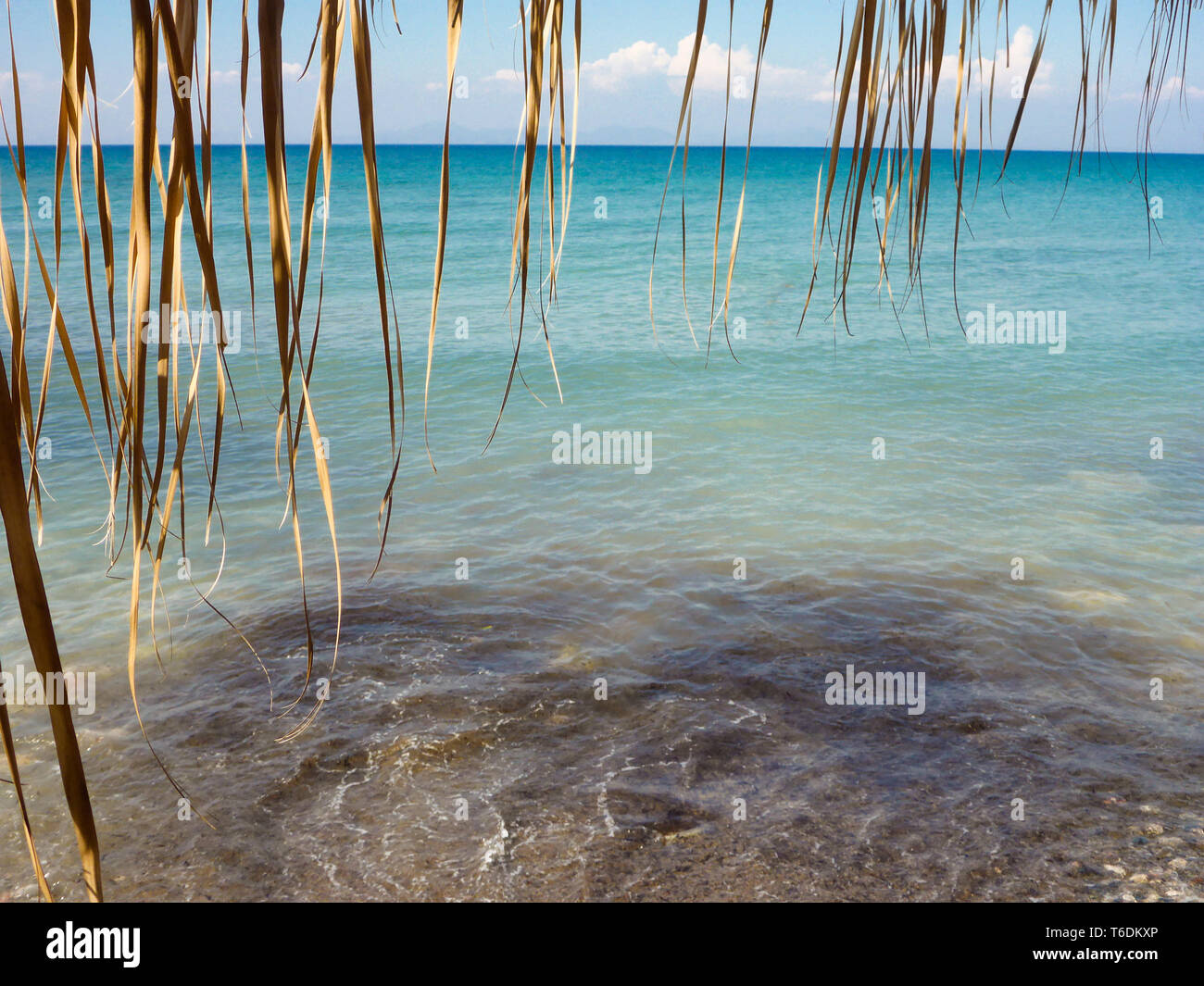 Urlaub auf Rhodos Griechenland am Strand mit Palmenwedel / Vacanze a Rodi Grecia presso la spiaggia di foglie di palma Foto Stock