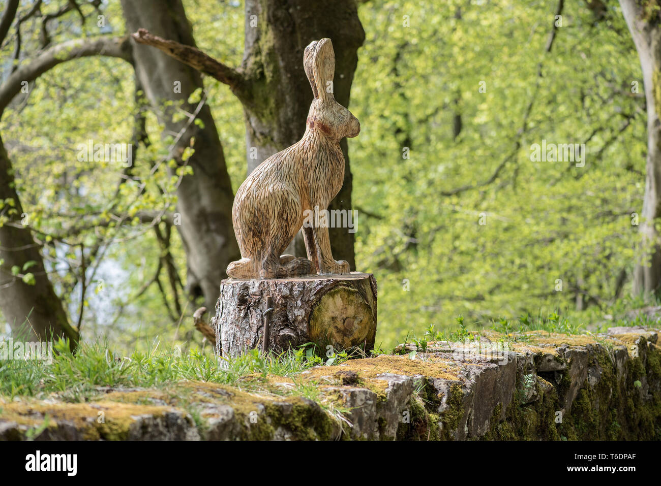 Scultura in legno carving Foto Stock