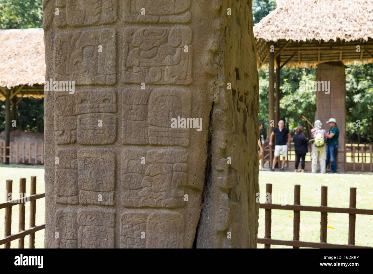Quirigua Guatemala sito patrimonio mondiale dell'UNESCO, Maya sito archeologico, pietra permanente, Stela c dettaglio; Guatemala, America Latina Foto Stock