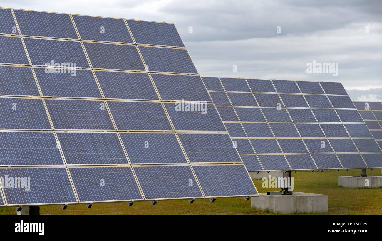 campo solare Foto Stock