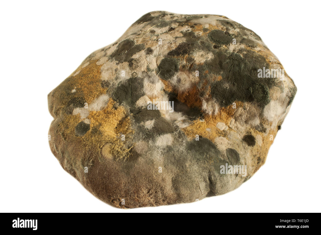 Ammuffito pane tondo isolato su bianco Foto Stock