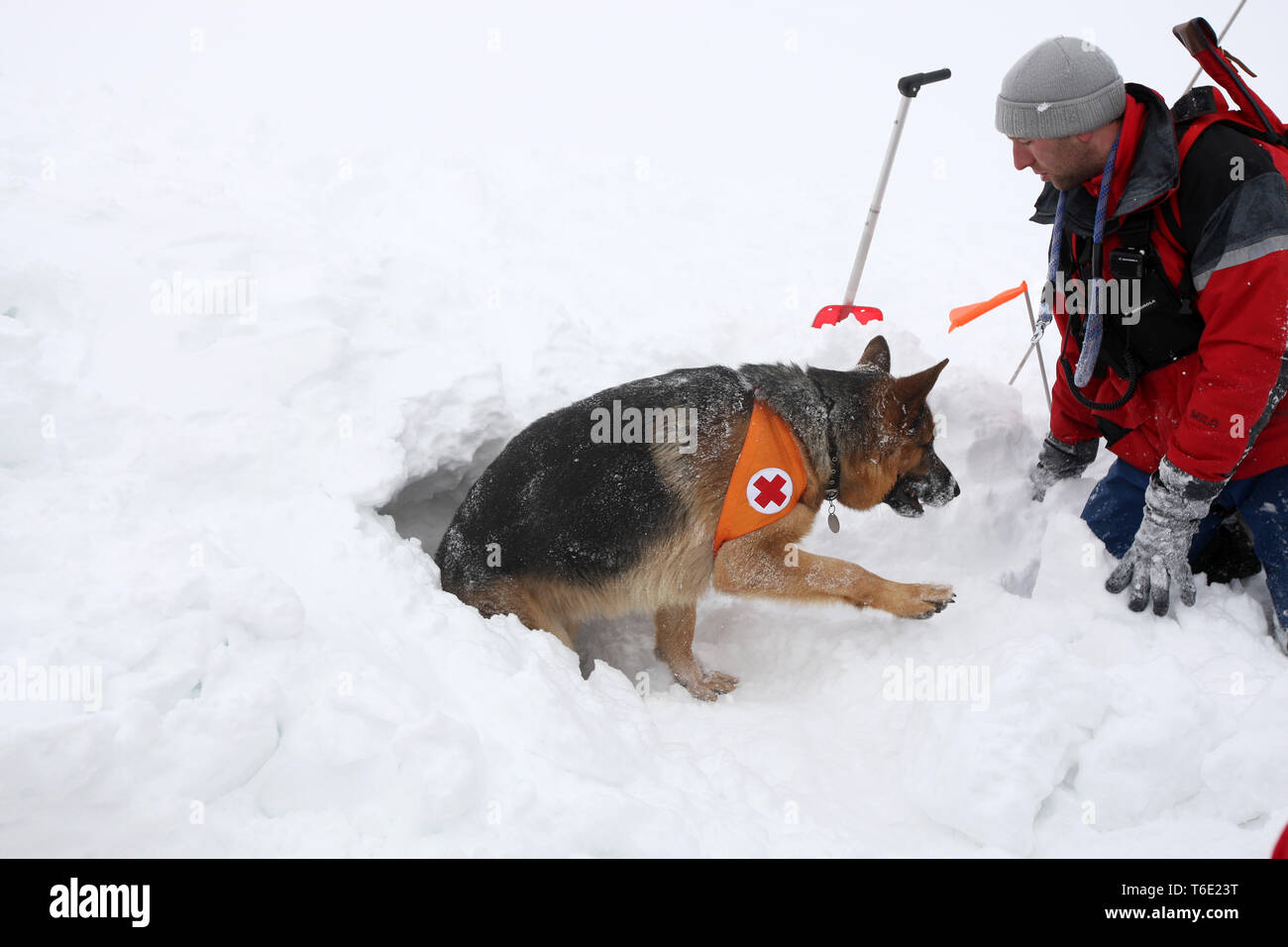 Soccorritore dal Mountain Rescue Service a bulgaro Croce Rossa Foto Stock