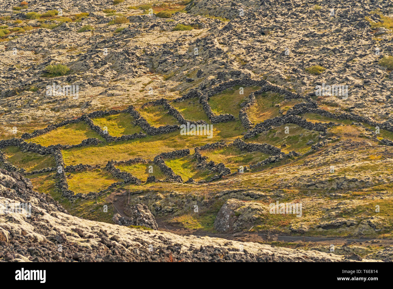 Roccia Naturale Ovili nelle zone rurali di montagna vicino Bifrost, Islanda Foto Stock