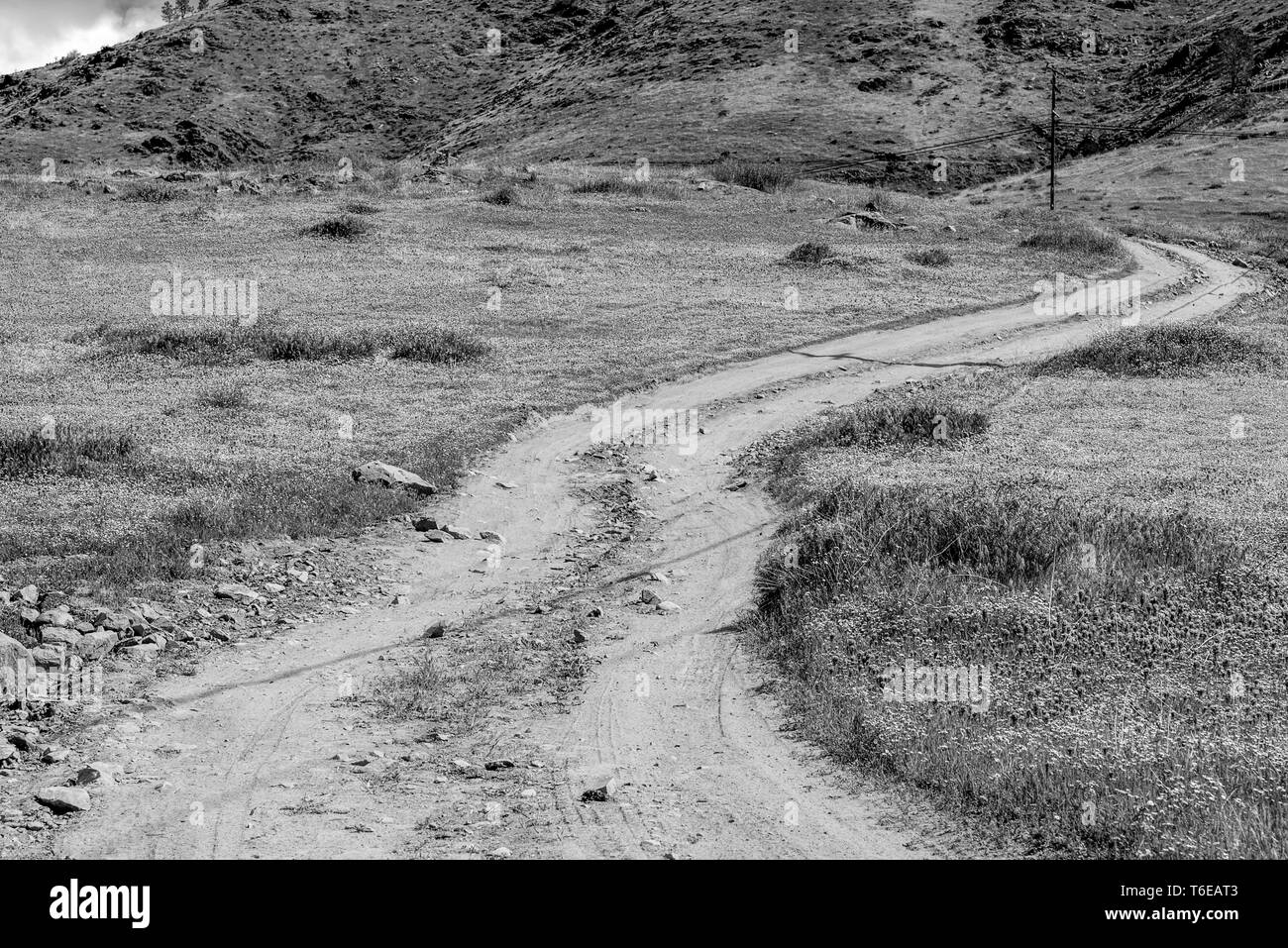 Bianco e nero, strada sterrata curvando attorno ai campi di fiori selvatici verso le colline al di là. Foto Stock