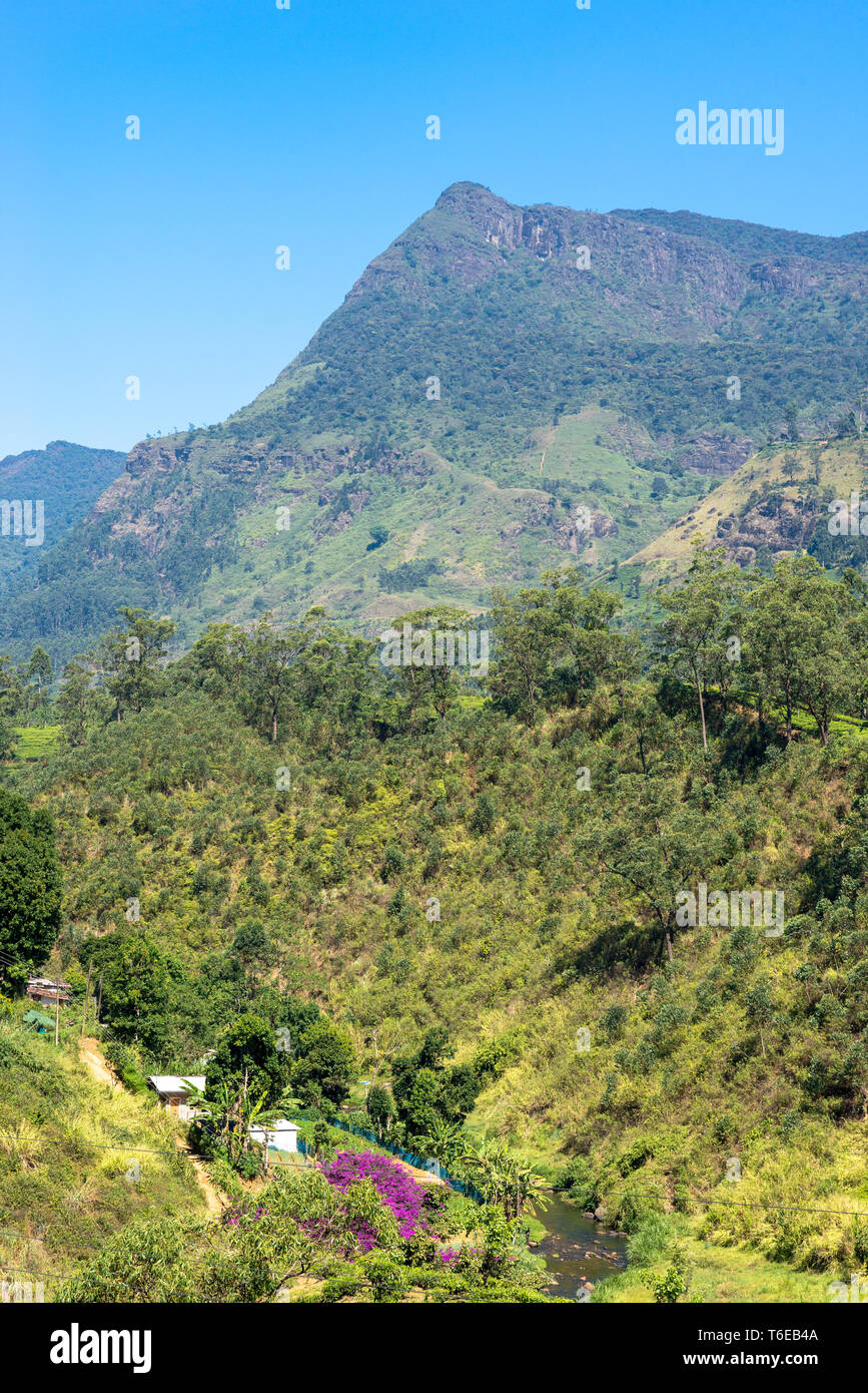 Montagne e il paesaggio dell'altopiano di Sri Lanka Foto Stock
