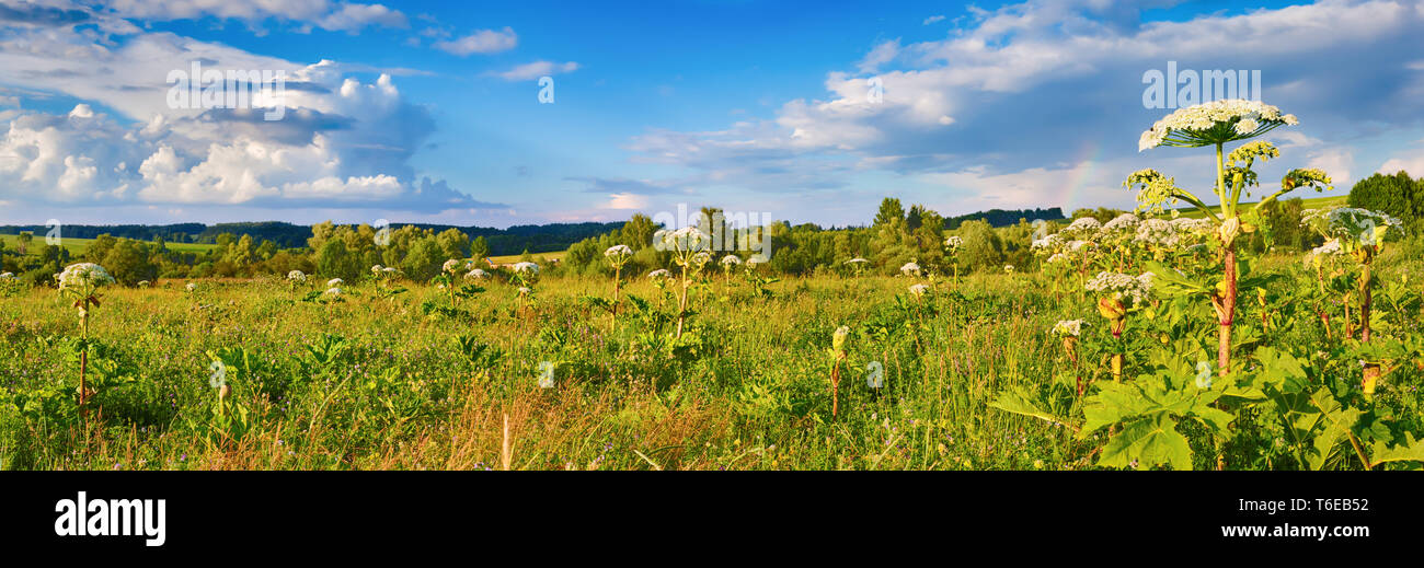 Paesaggio rurale. Heraclium in primo piano. Panorama Foto Stock