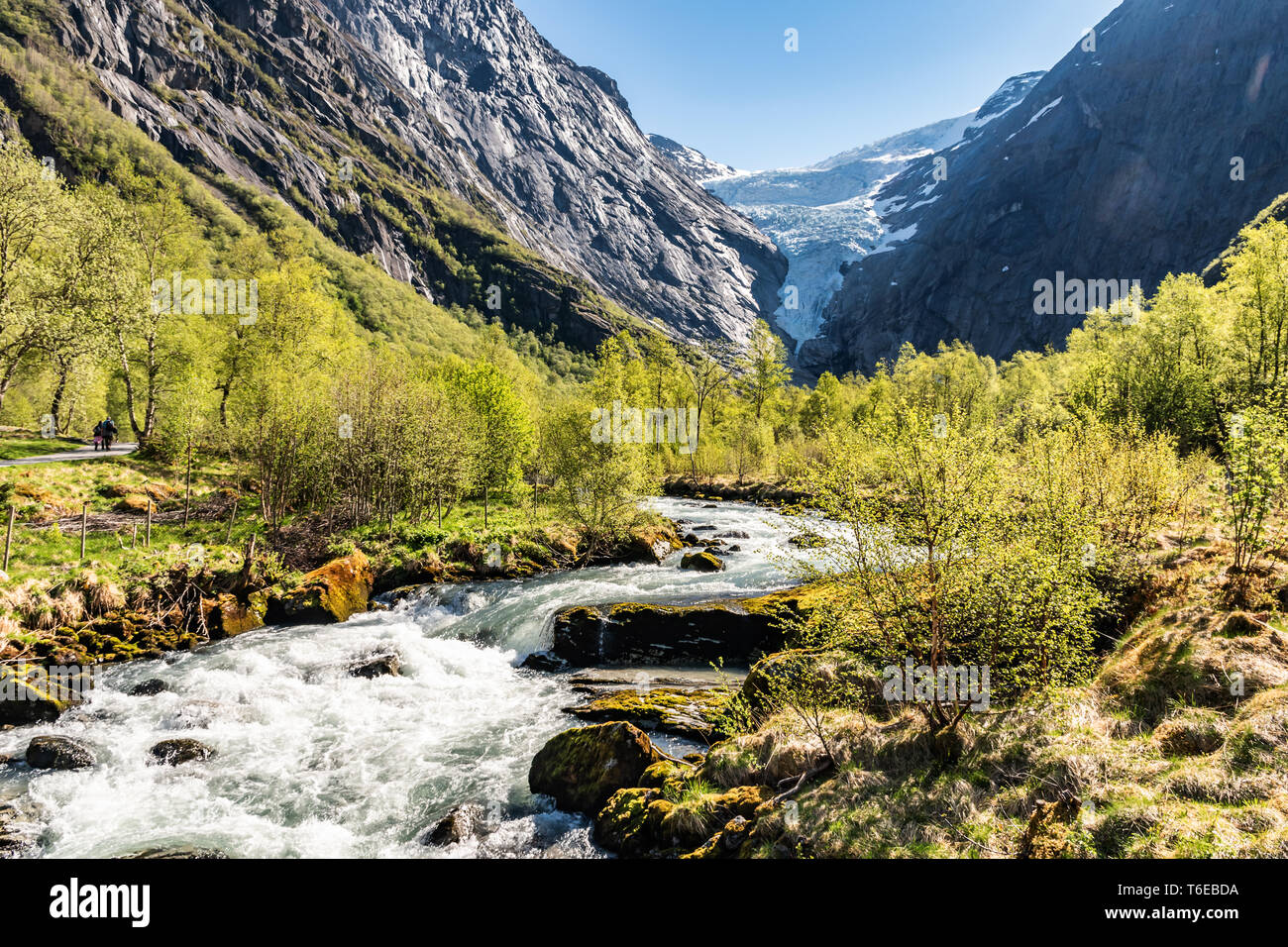 Il Briksdal Glacier National Park Foto Stock
