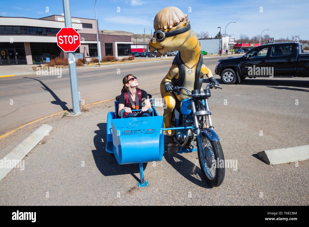 Drumheller, Alberta, Canada 18. Aprile 2019: più grande del mondo di dinosauro, il dinosauro capitale del mondo, Viaggi Alberta, città storica, turismo, museo, vacanze, punto di interesse, storia Foto Stock