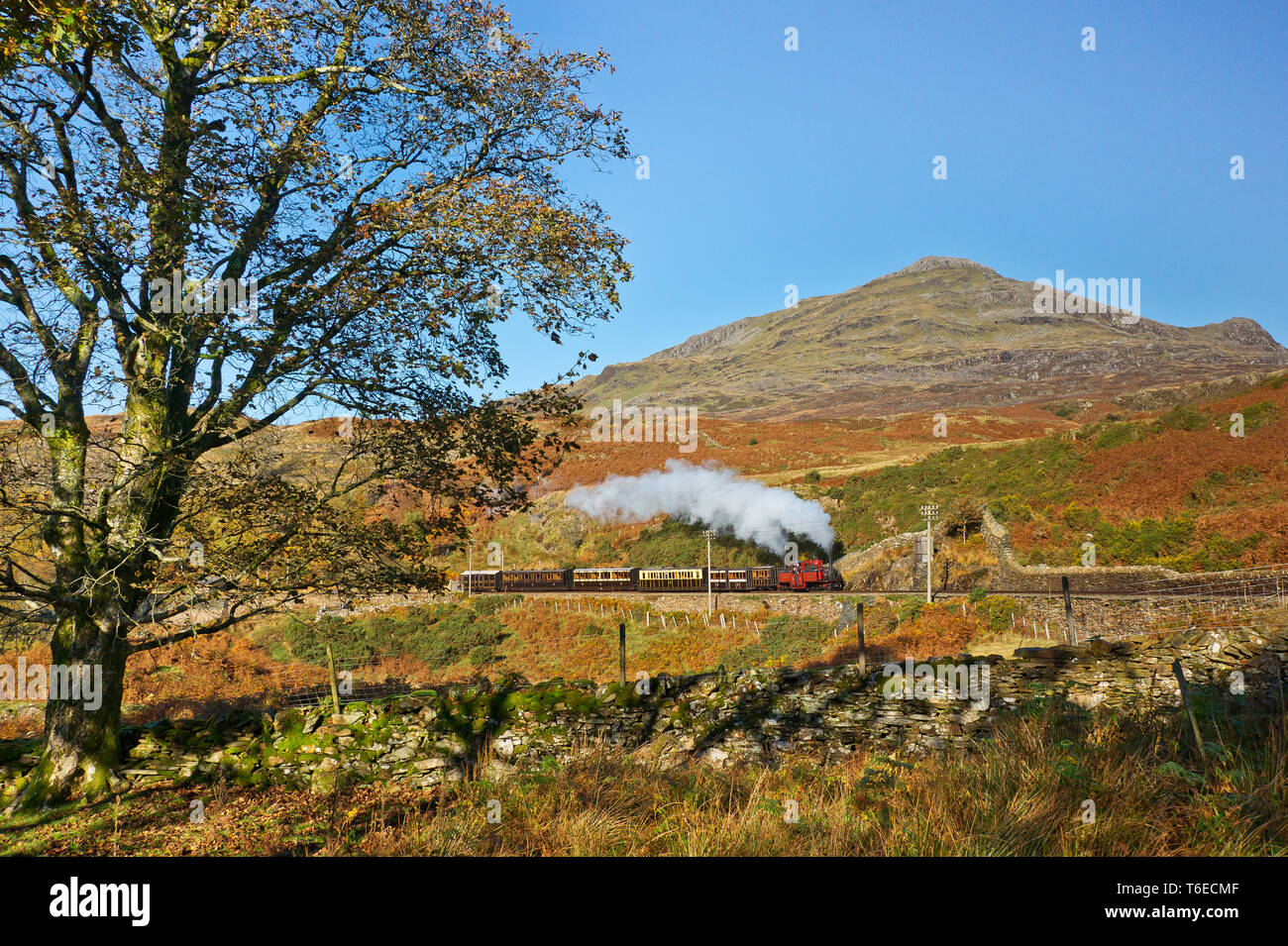 Snowdonia il 1 di novembre 2015 e assolutamente tempo splendido, Double Fairlie locomotiva a vapore in i colori dell'autunno. Ffestiniog Railway, Galles Foto Stock