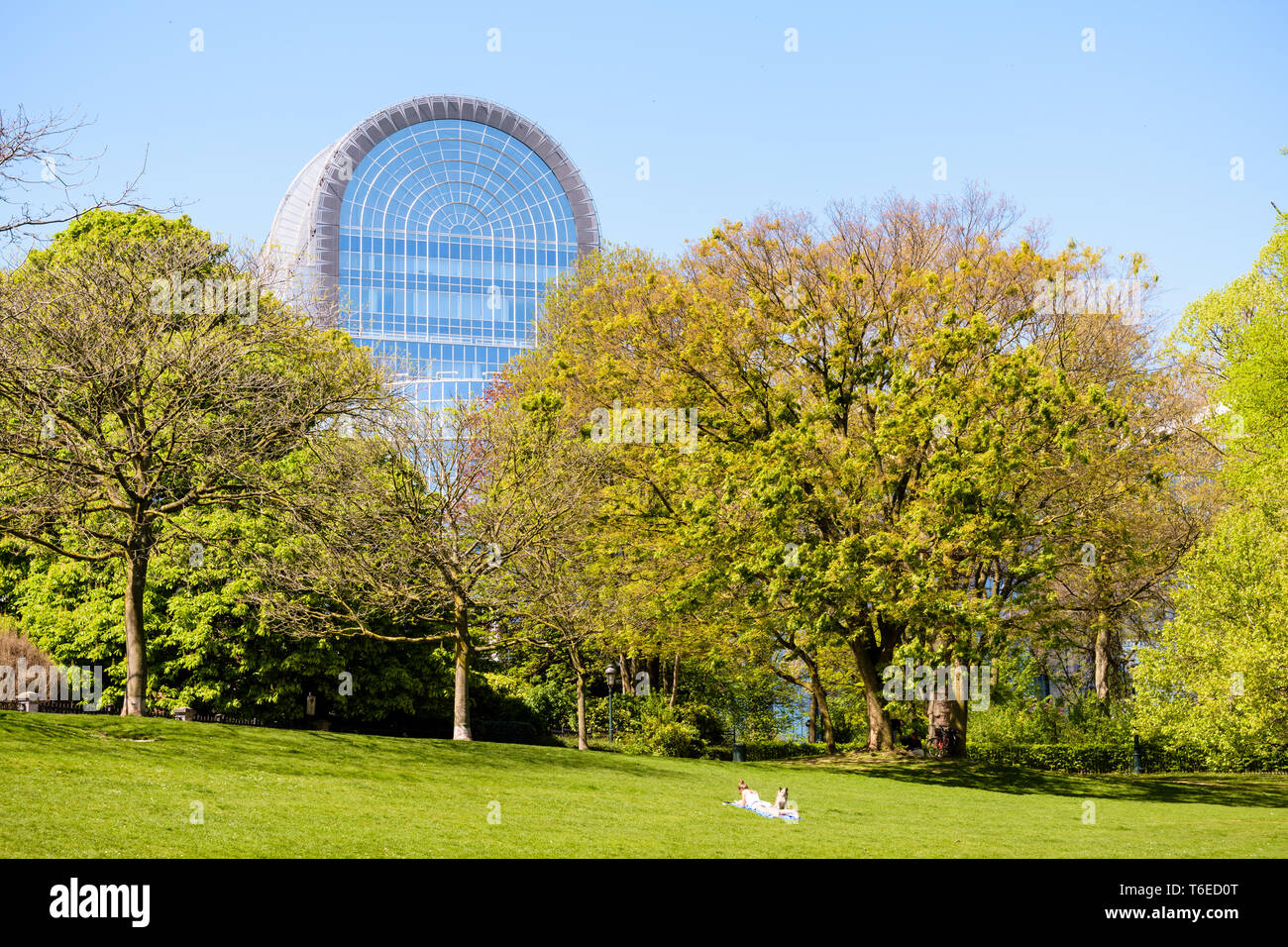 Il tetto in vetro dell'edificio Paul-Henri Spaak, la sede del Parlamento europeo a Bruxelles, sporgenti al di sopra gli alberi del Parco Leopold. Foto Stock