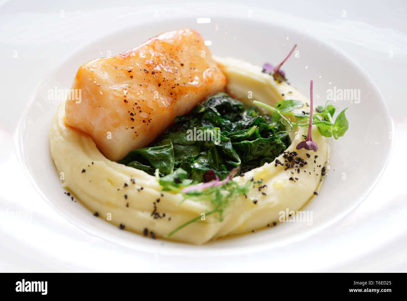 Frittura di merluzzo nero Filetto con purè di patate e spinaci close-up Foto Stock