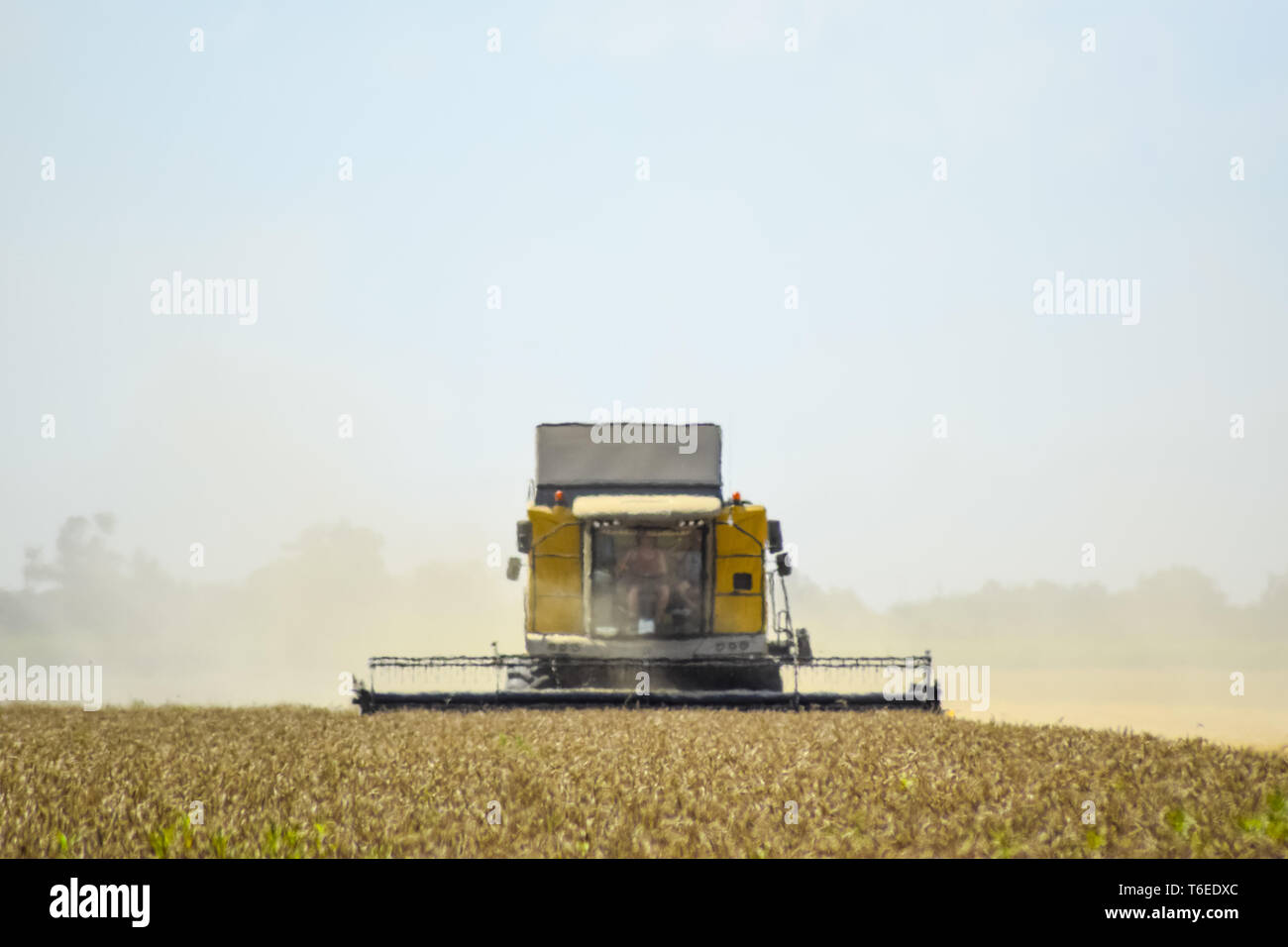 Trebbiatrici mietitrebbia. Macchine agricole. Foto Stock