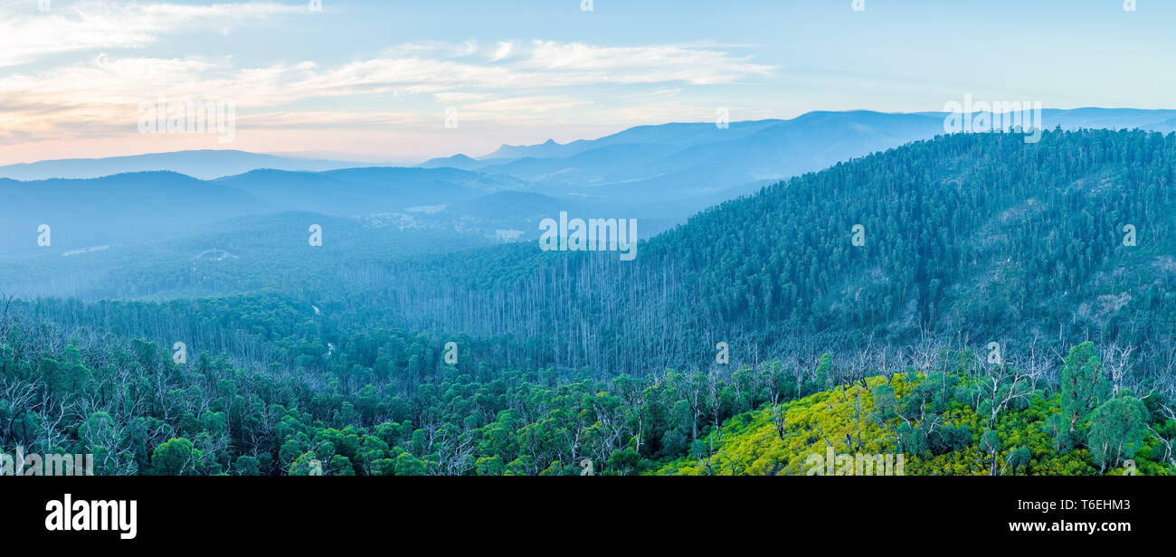 Panoramica aerea di belle montagne e colline boscose al tramonto in Victoria, Australia Foto Stock